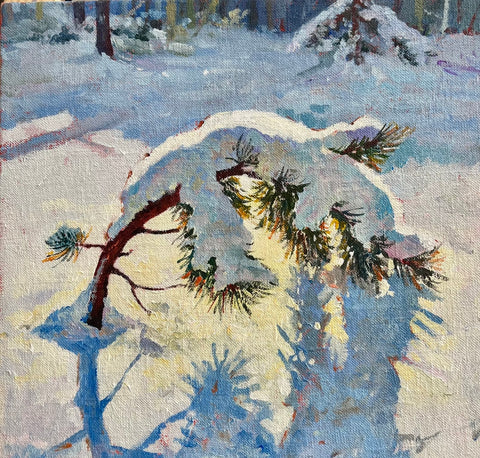 Frosty Evergreen Sprig