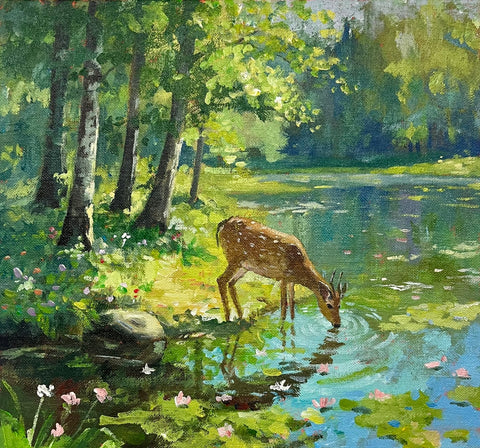 Woodland Deer Drinking Water