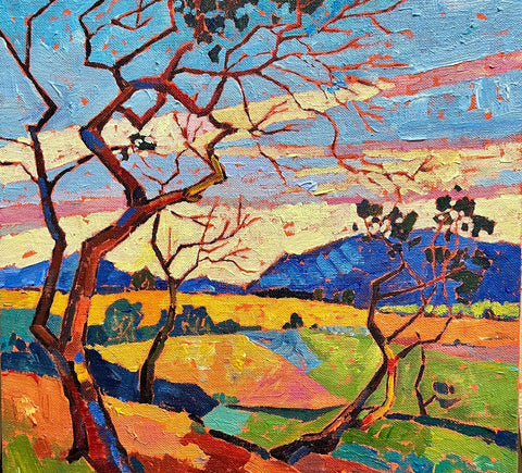 Twisted Trees at Sunset