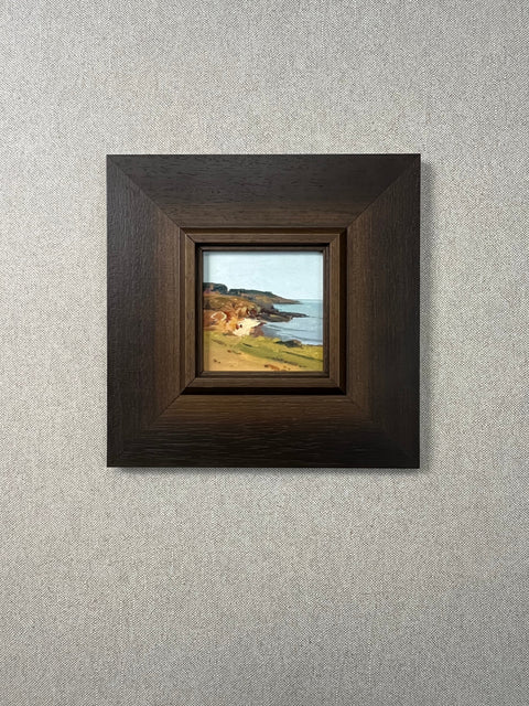 Grassy Bluff