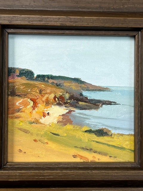 Grassy Bluff