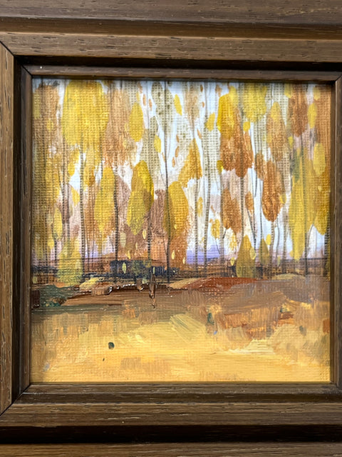 Autumn Birch