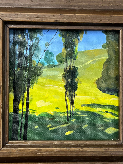 Sunlit Green Hill
