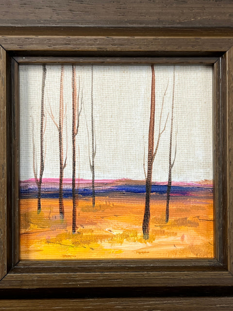 Bare Trees in Autumn Glow
