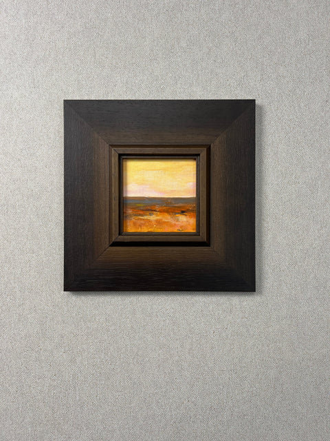 Golden Hour Desert Plains