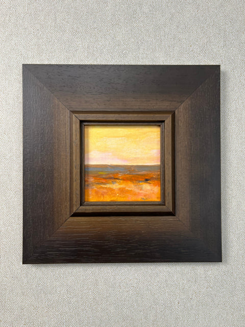 Golden Hour Desert Plains