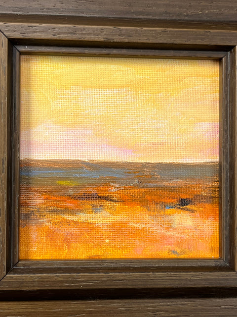 Golden Hour Desert Plains