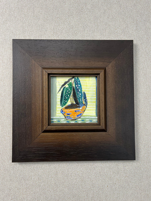 Houseplant Still Life