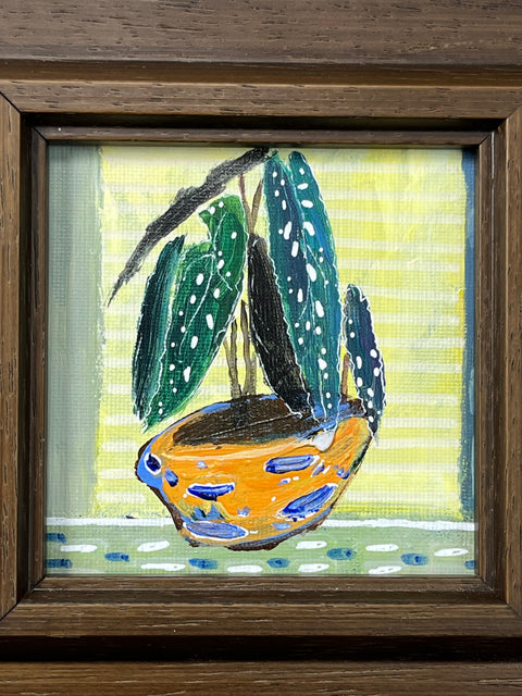 Houseplant Still Life