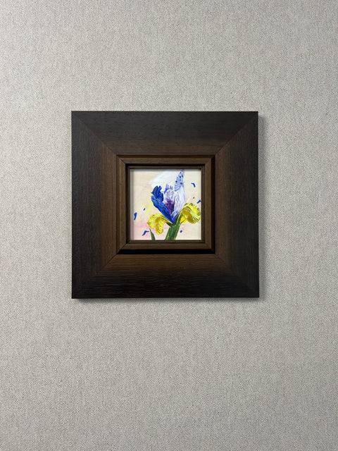 Iris Flower Still Life