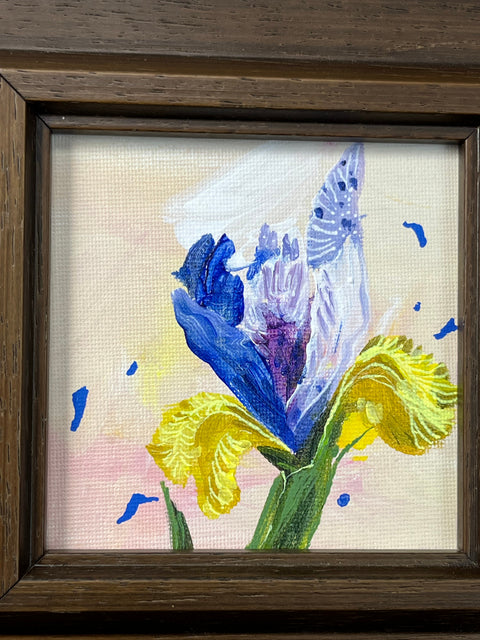 Iris Flower Still Life