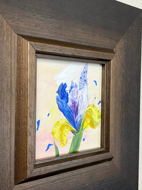 Iris Flower Still Life