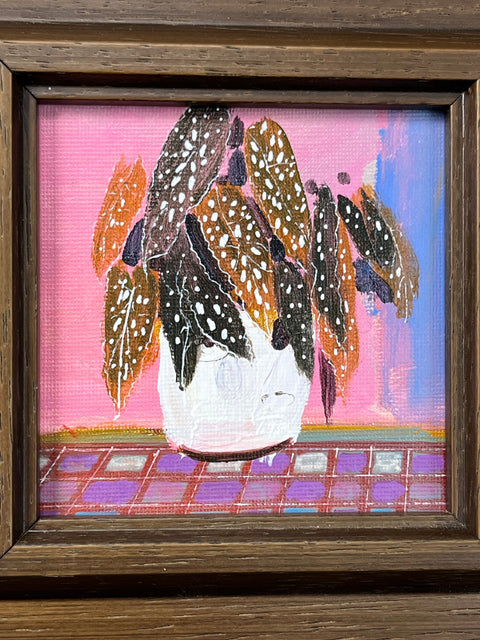 Tropical Houseplant Still Life