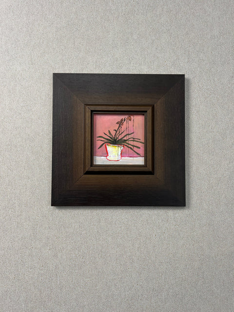 Tropical Houseplant Still Life