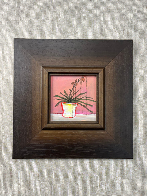 Tropical Houseplant Still Life