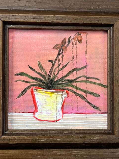 Tropical Houseplant Still Life