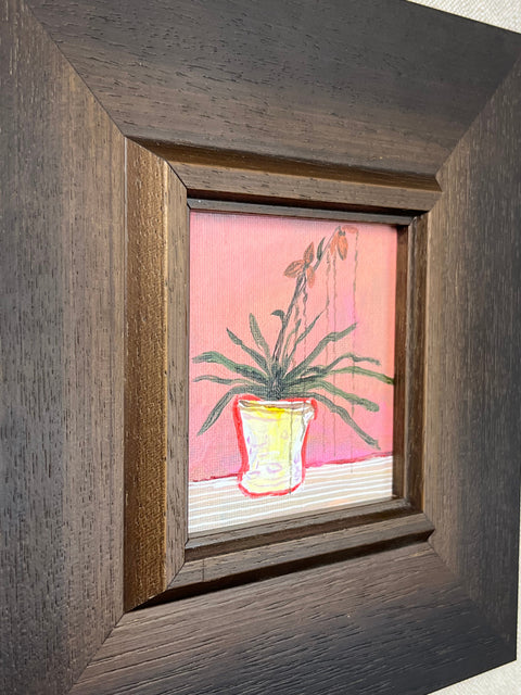 Tropical Houseplant Still Life