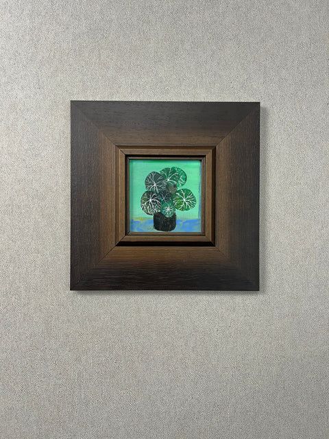 Silver Vein Houseplant Still Life