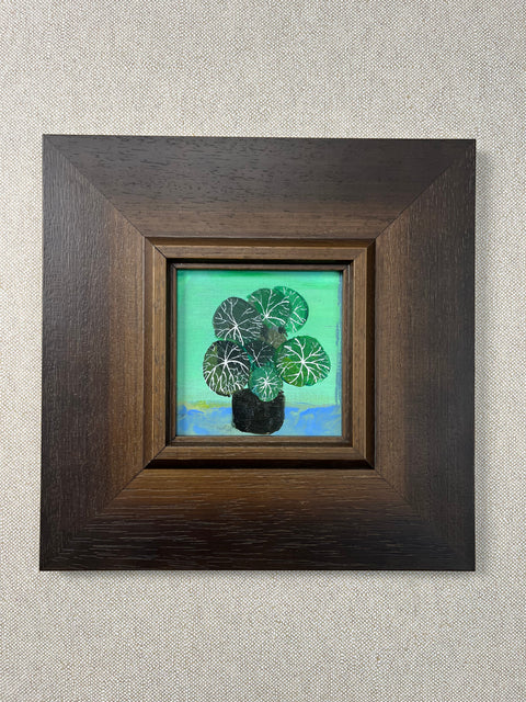 Silver Vein Houseplant Still Life