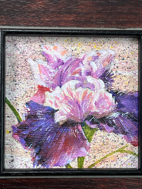 Iris Flower Still Life