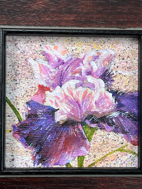 Iris Flower Still Life