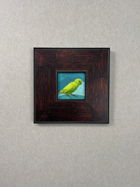 Green Parakeet Bird Art