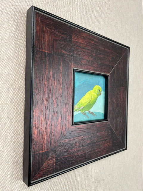 Green Parakeet Bird Art
