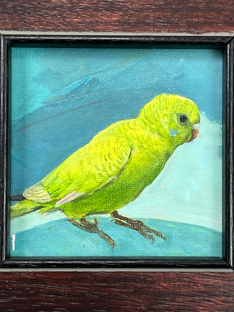 Green Parakeet Bird Art