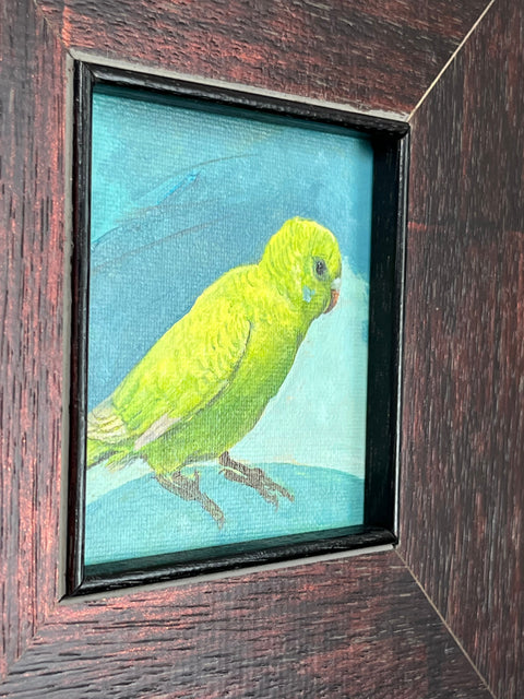 Green Parakeet Bird Art