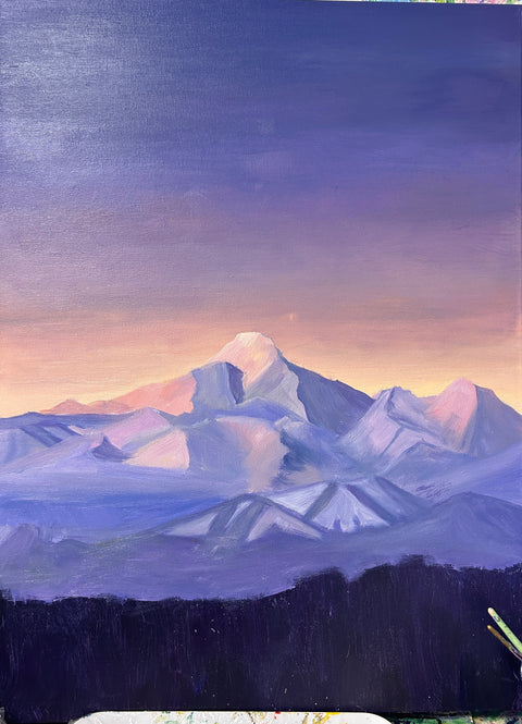 Shooting Star Over Snow Peak