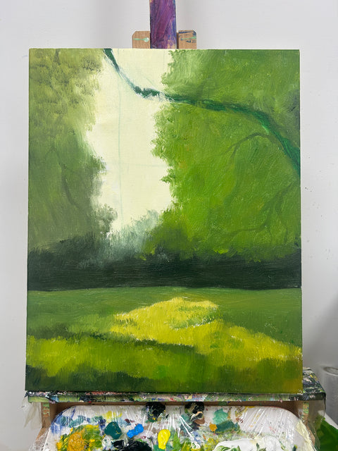 Deer in the Sunlit Forest