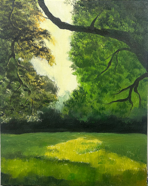 Deer in the Sunlit Forest