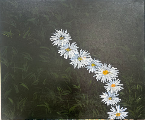Midnight Daisies