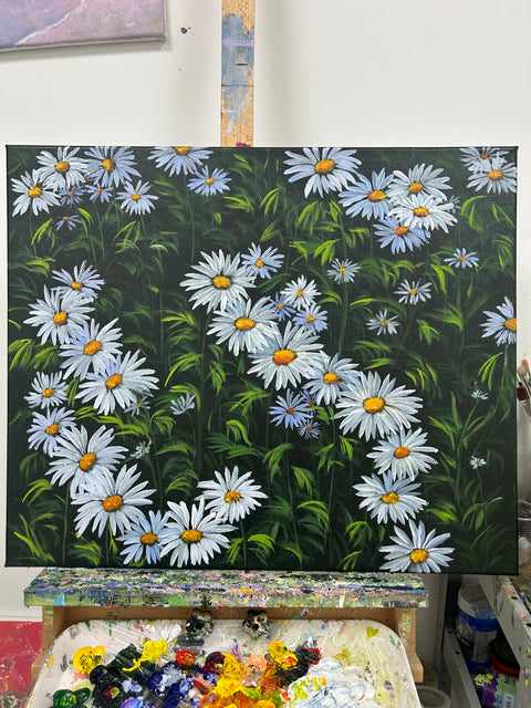 Midnight Daisies