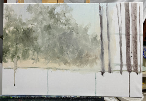 Forest Morning Light