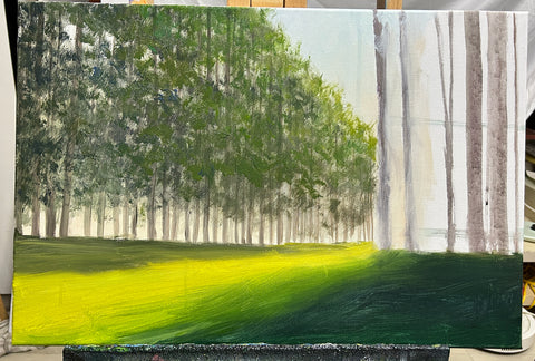 Forest Morning Light