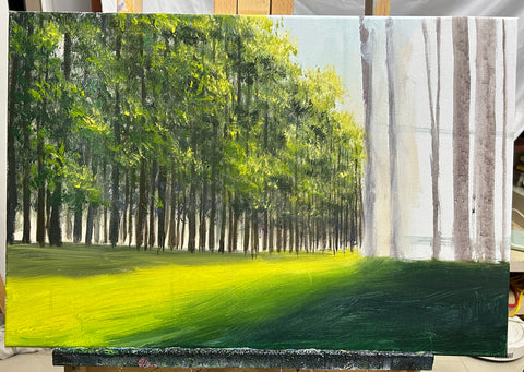 Forest Morning Light