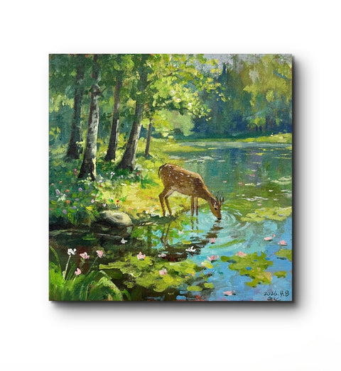 Woodland Deer Drinking Water