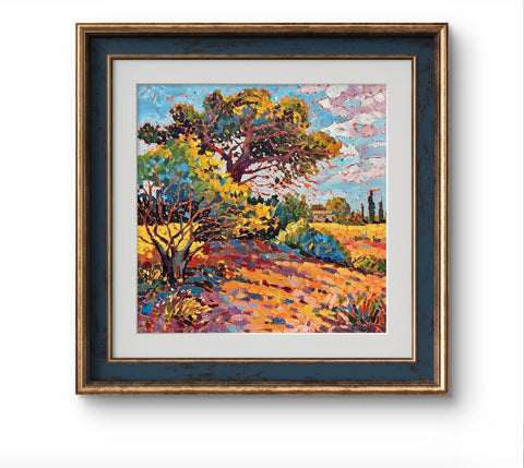 Provence Olive Grove