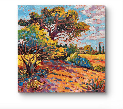 Provence Olive Grove